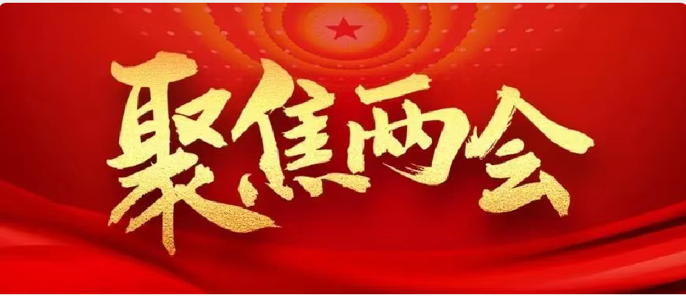 全國政協(xié)十三屆三次會議在京開幕
